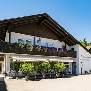 Lavendel Oberaudorf